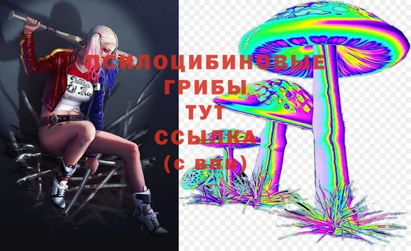 ГАЛЛЮЦИНОГЕННЫЕ ГРИБЫ Бронницы