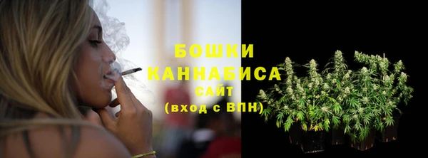 прущие грибы Вязники