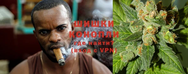 прущие грибы Чердынь