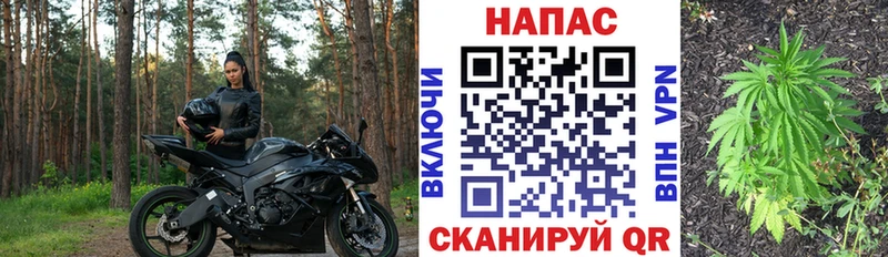 закладка  Новосокольники  Шишки марихуана AK-47 